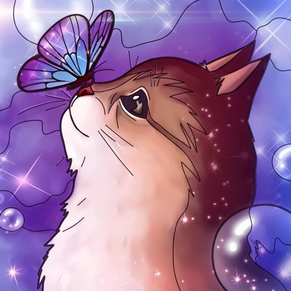 котики арты