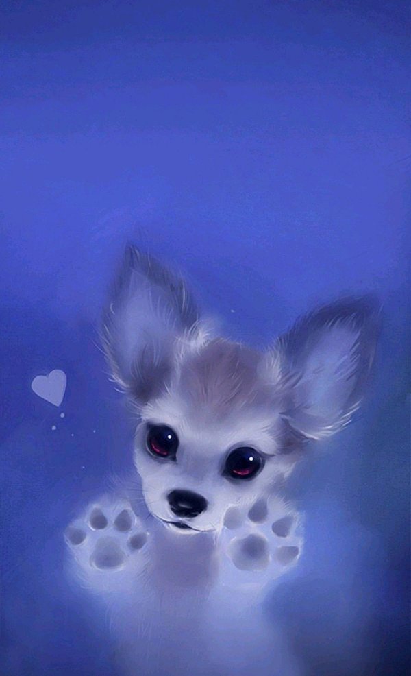 милая собачка