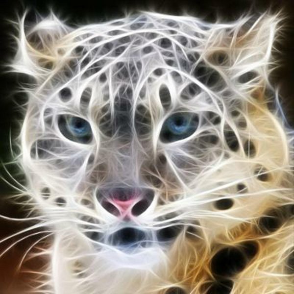 абстракция животные