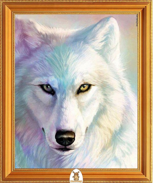 волчица белая