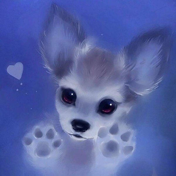 милая собачка