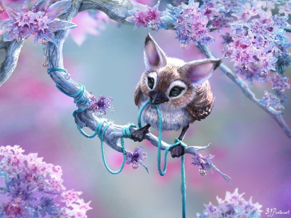 волшебное животное