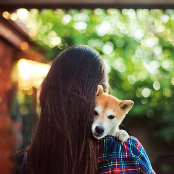 девушки с собаками