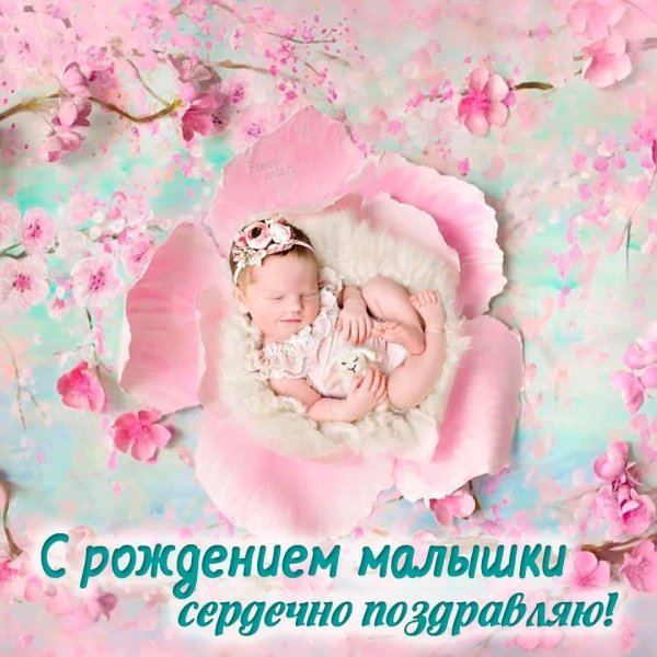 с рождением малышки поздравление