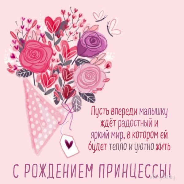 с рождением принцессы поздравления