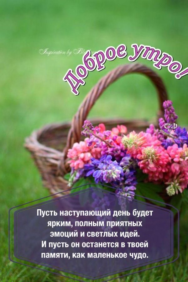 весенние цветы