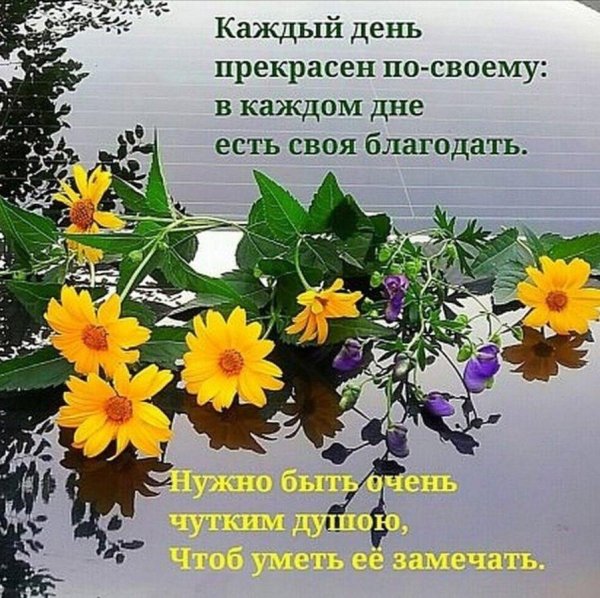 доброго благословенного утра и хорошего дня с мудрыми пожеланиями