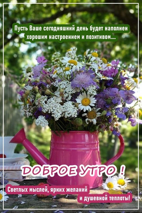 пожелание доброго утра и благословенного дня