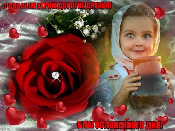 добрый вечер светлана