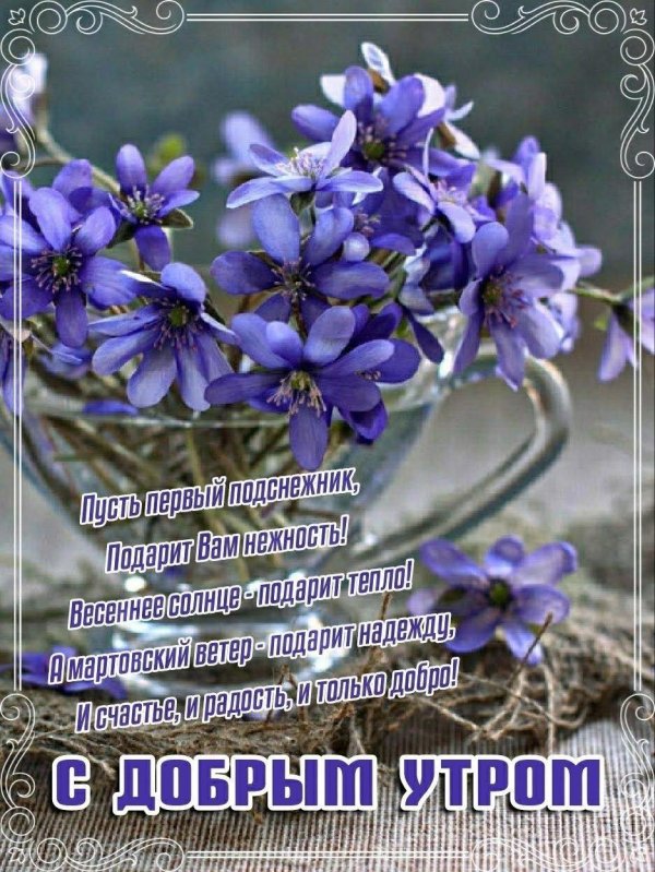 поздравление с добрым утром весенним