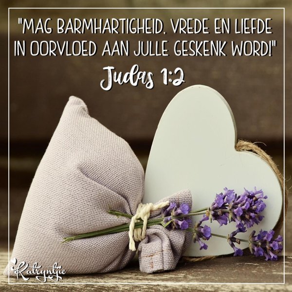 лаванда анук