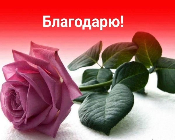 благодарим от всей души