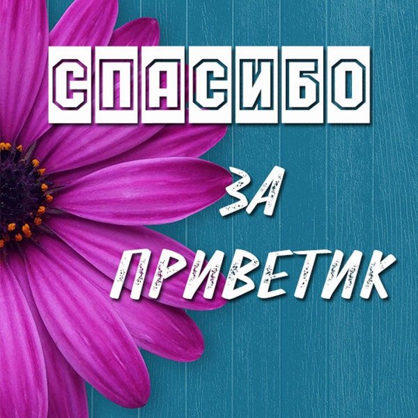 благодарю благодарю благодарю