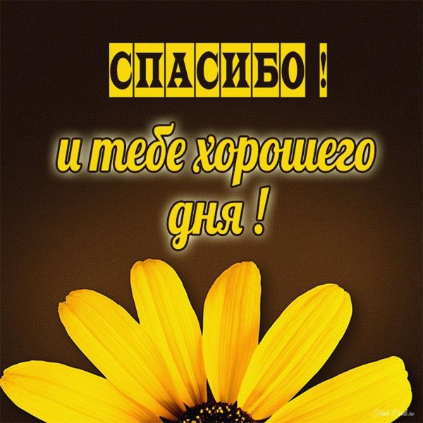 спасибо хорошего дня