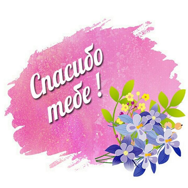 спасибо незабудки