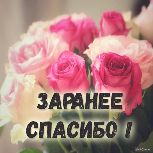 красивое спасибо