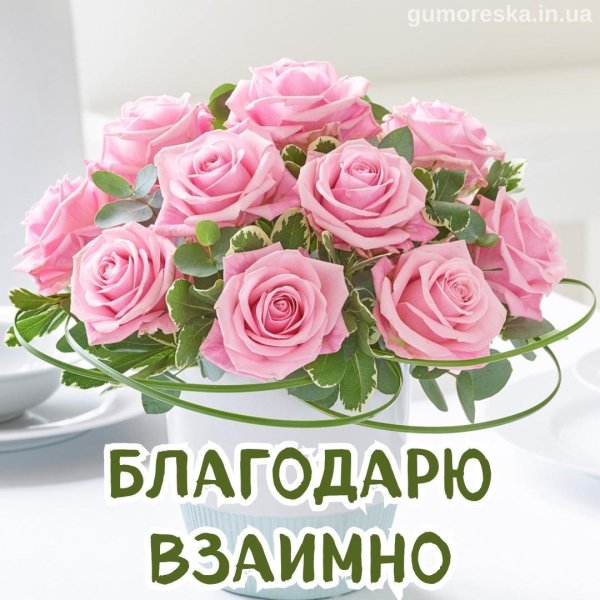 взаимно открытка благодарность