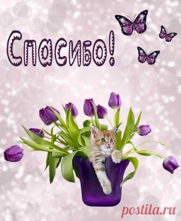 открытка спасибо