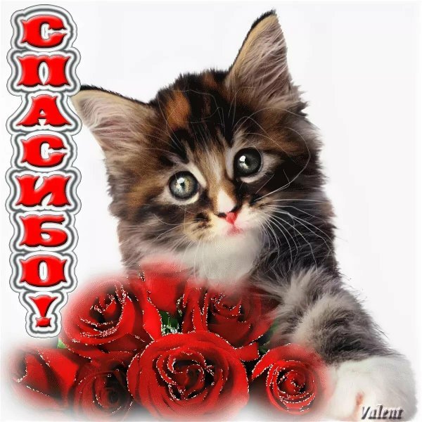 открытки спасибочки