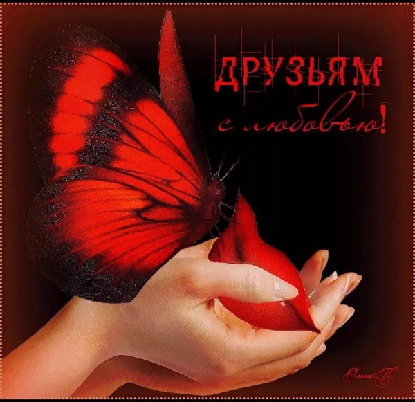 красные бабочки