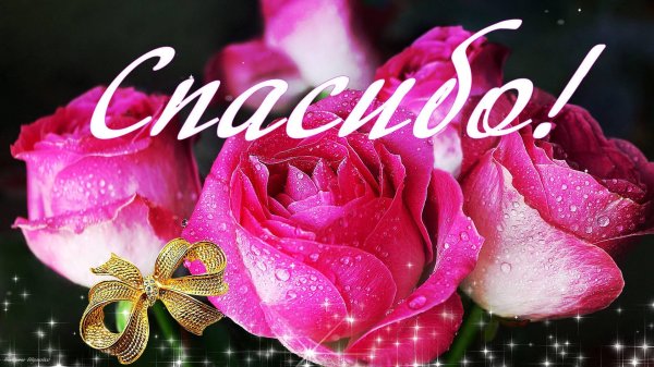 красивое спасибо