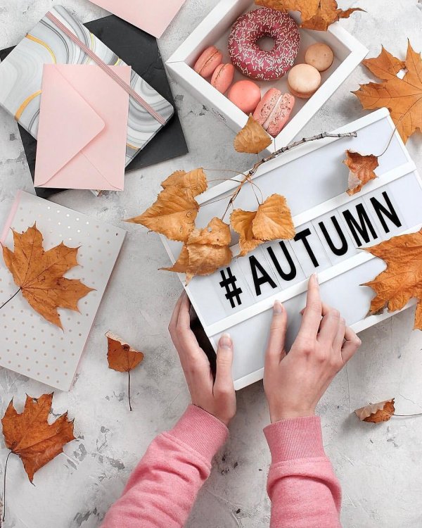 осенняя эстетика