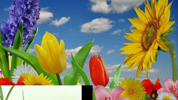 весенний баннер