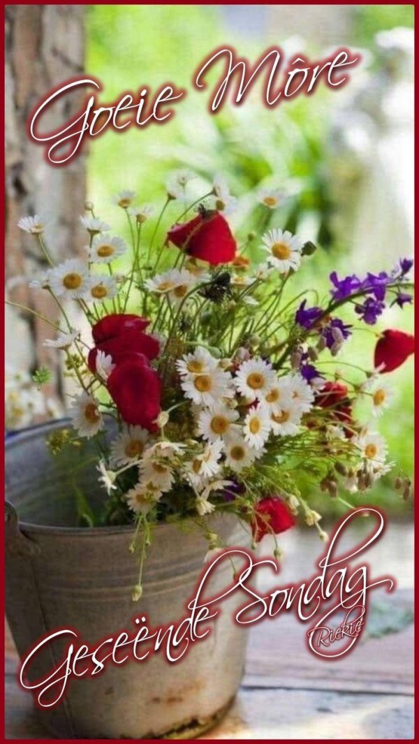 букет полевых цветов