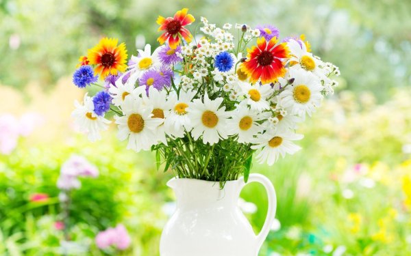 букет летних цветов