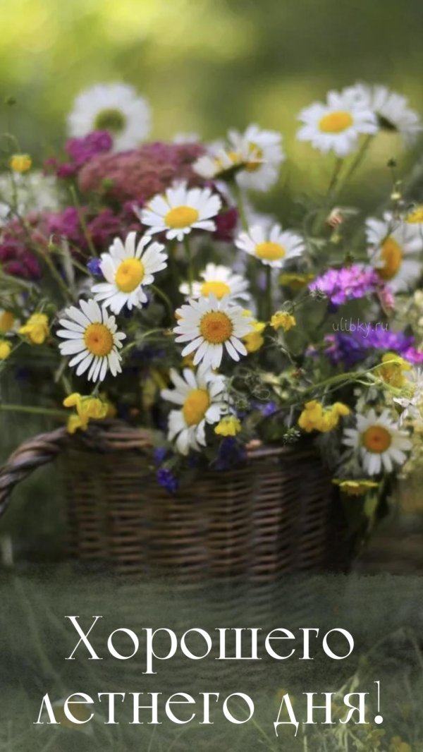хорошего летнего дня