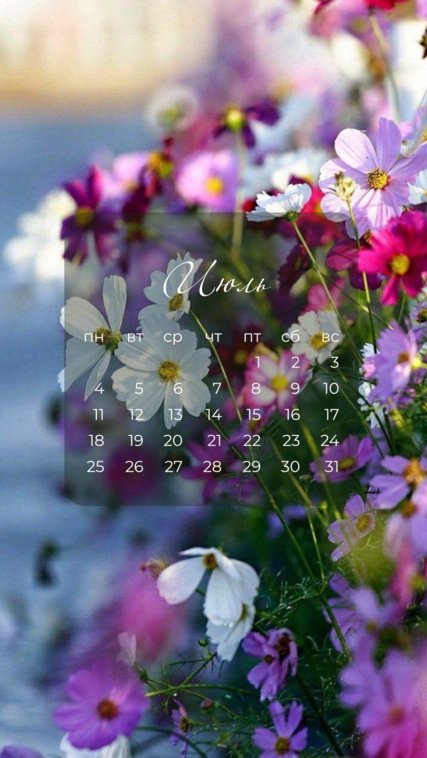 летние цветы