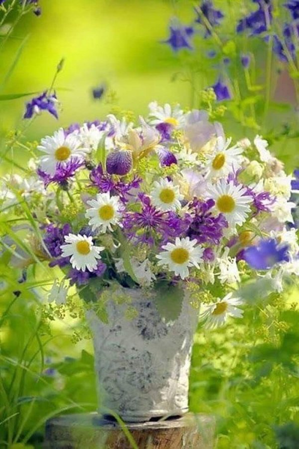 лето доброе утро