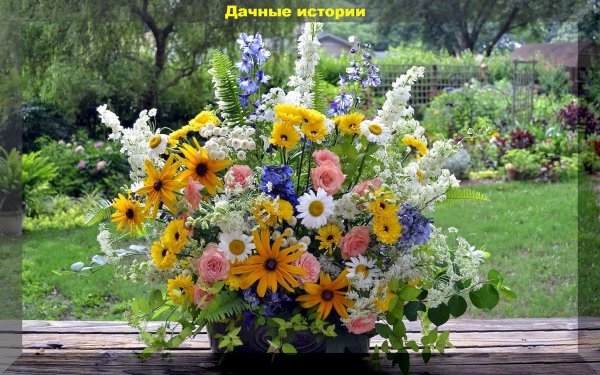 композиция из полевых цветов