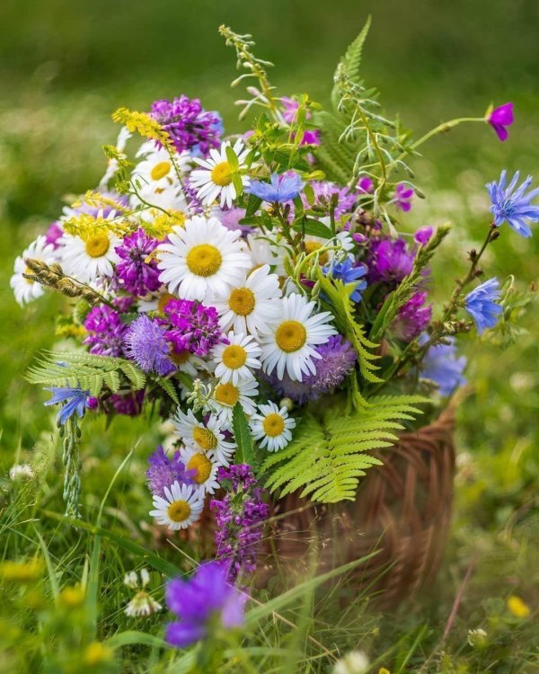 очень красивый летний букет