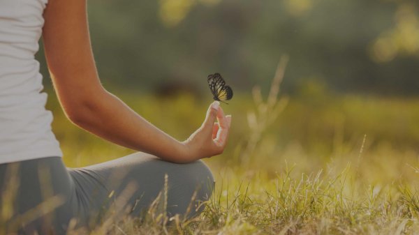 гармония человека