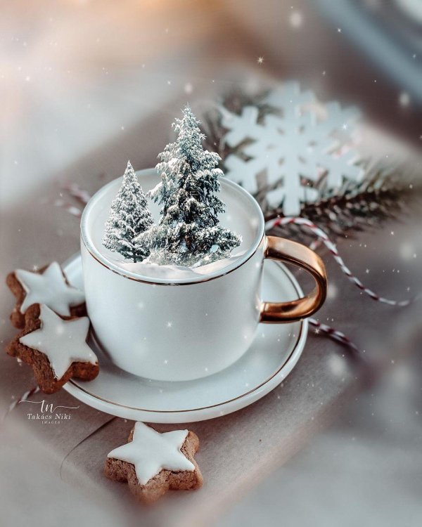 открытка доброго зимнего утра