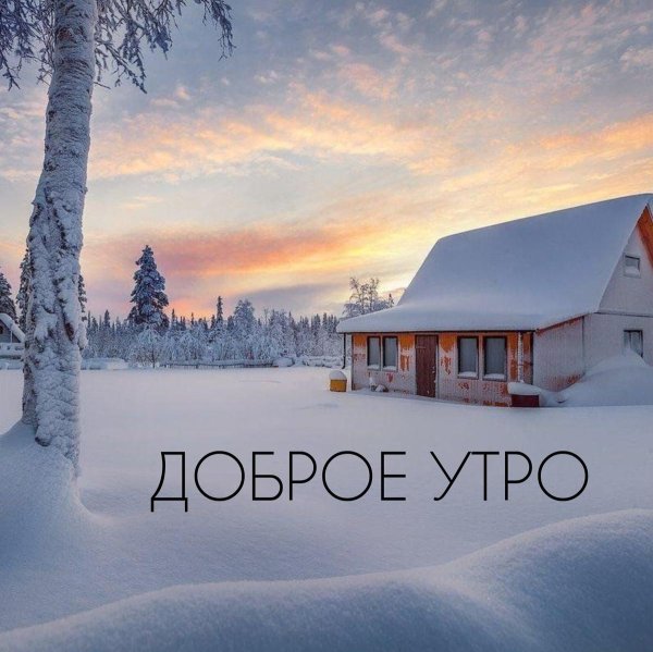 утро зимнее