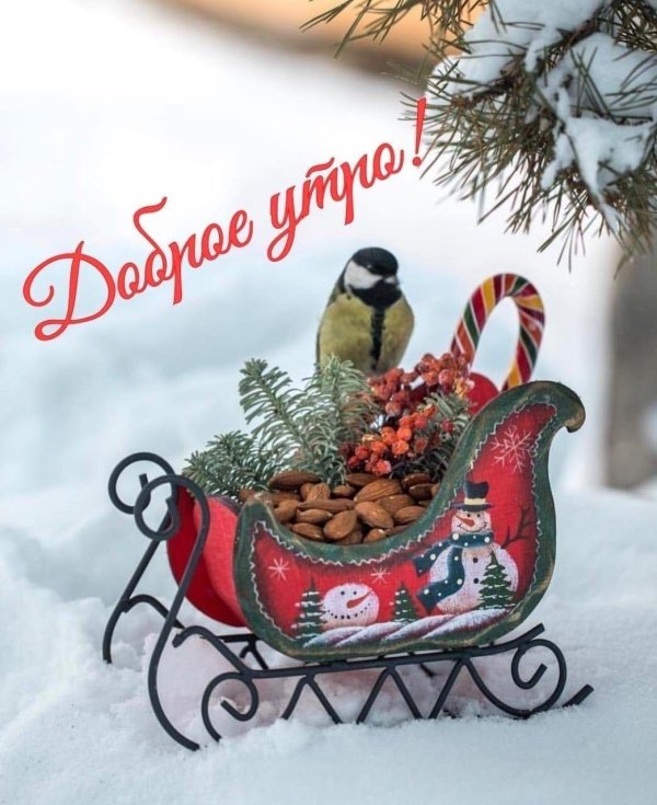 доброе предновогоднее утро