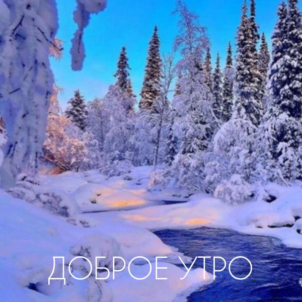 зимние пейзаж