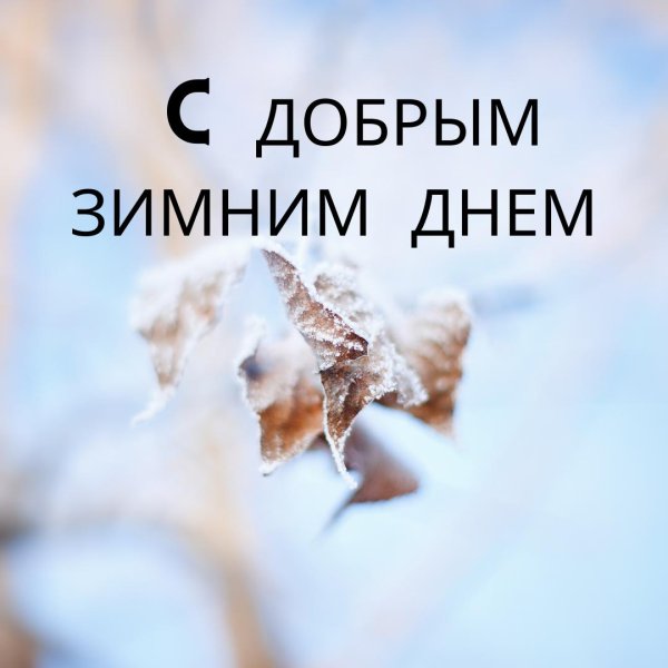 стильные поздравления с добрым утром зимние