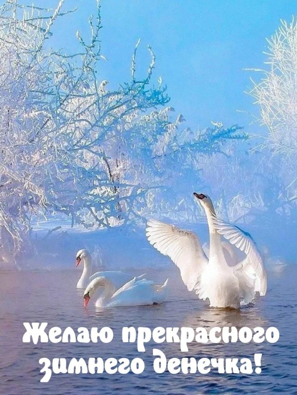 добрая зимнее утро