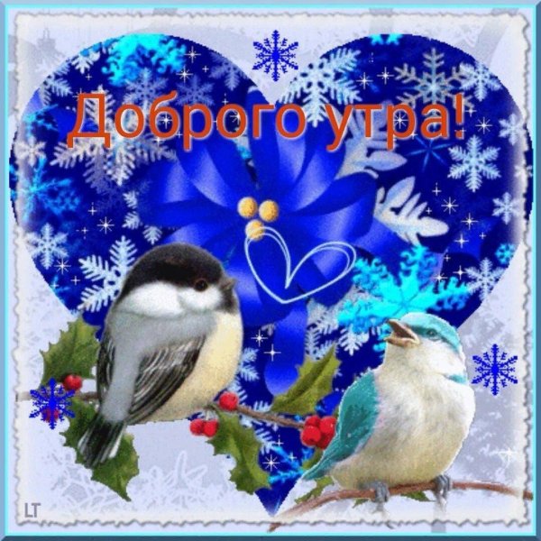 открытка зимняя