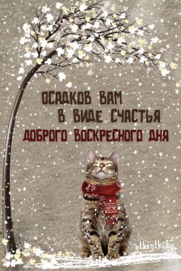 доброго утра зима