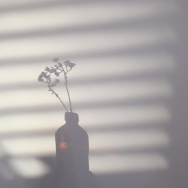 тень цветов