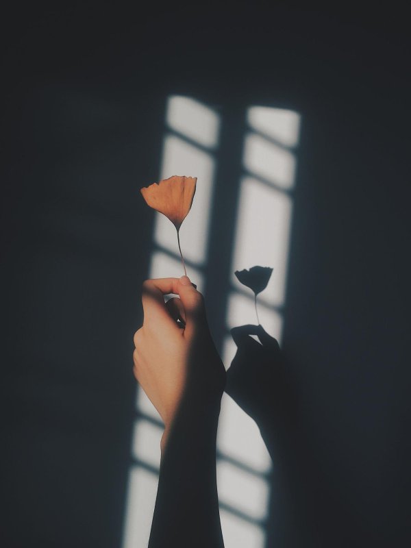 эстетика грусти