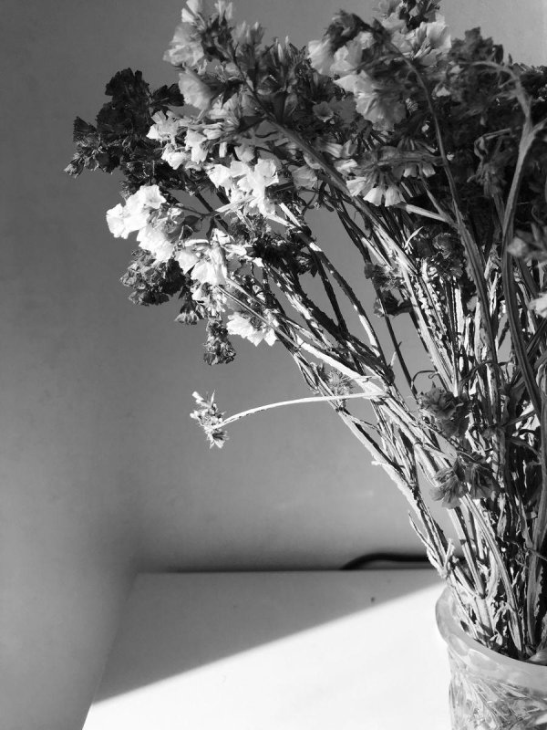 черно белые цветы