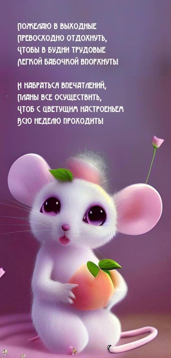 животное милое