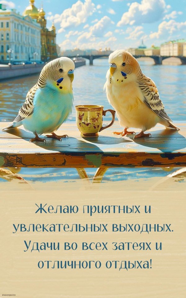 попугайчик волнистый