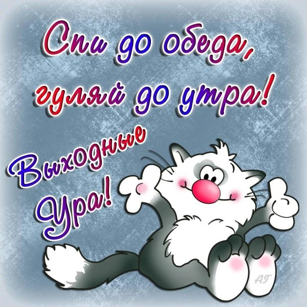 хорошего дня прикольные