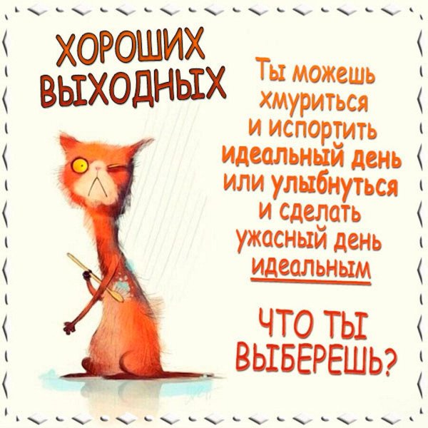 пожелания хорошего дня прикольные